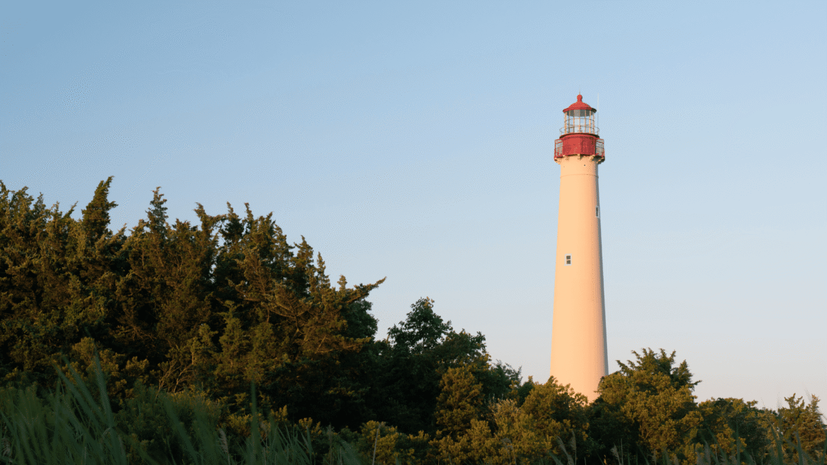 fun family activities in the summer